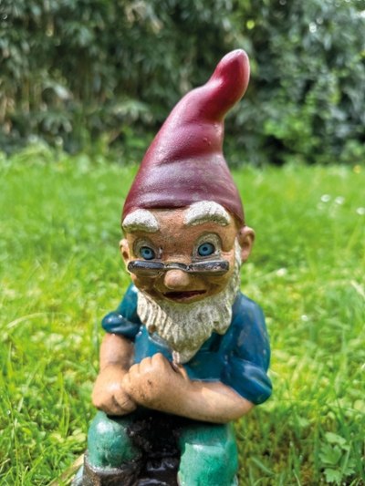 Foto