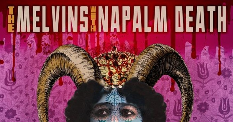 MELVINS & NAPALM DEATH: Gemeinsames Album